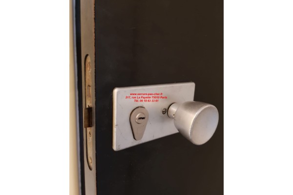 cylindre ovoide y7 30x30